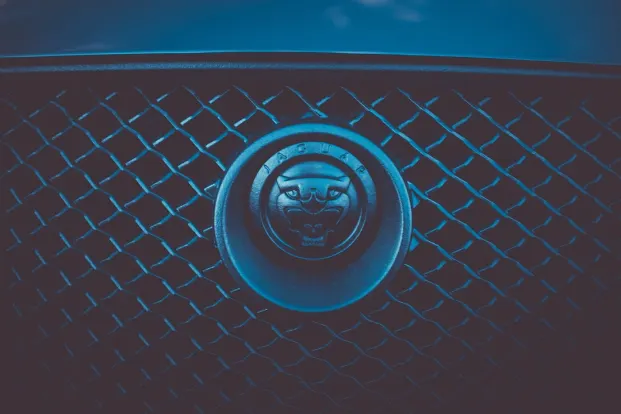 קליאופטרה קזינו אפליקציית Android/iOS